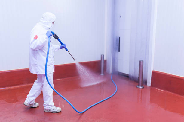 Professional Pressure Washing Services in Sewell, NJ